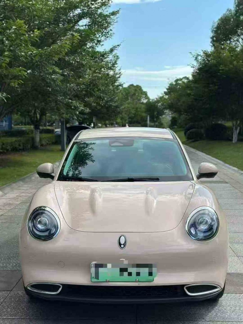 嘉兴23年长城汽车欧拉1