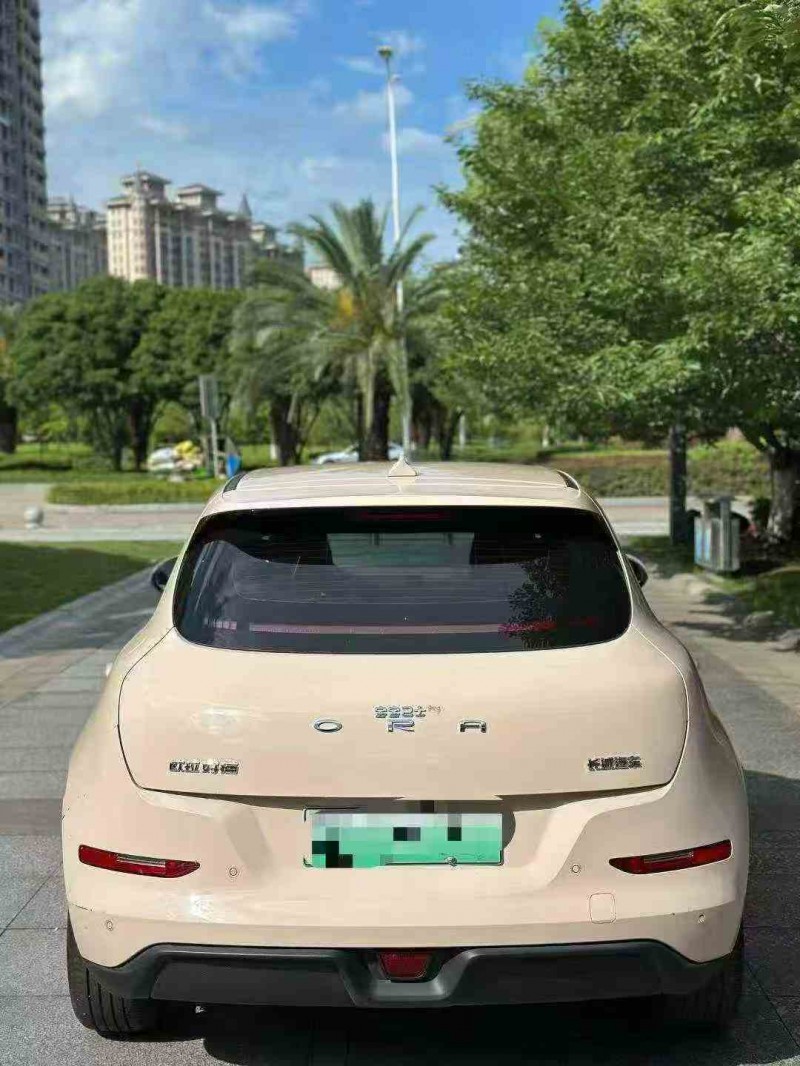 嘉兴23年长城汽车欧拉9