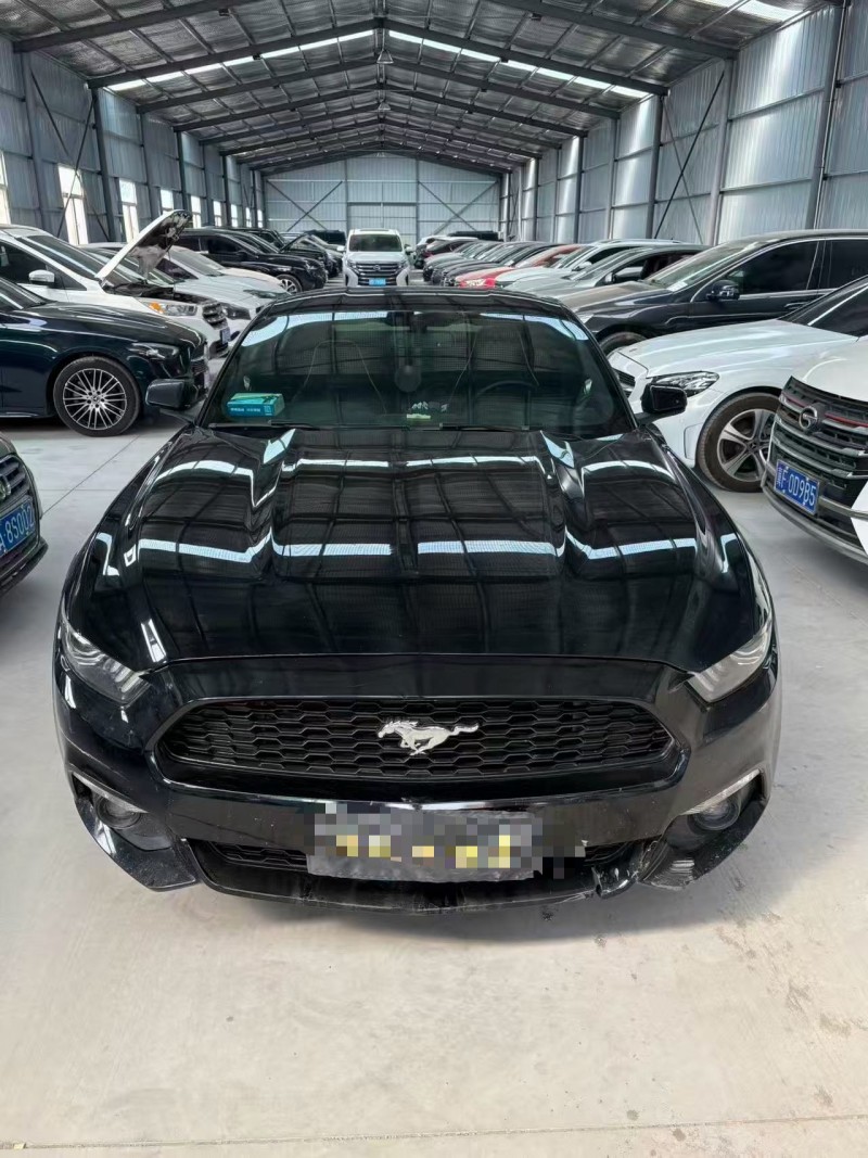 天津17年福特野马1