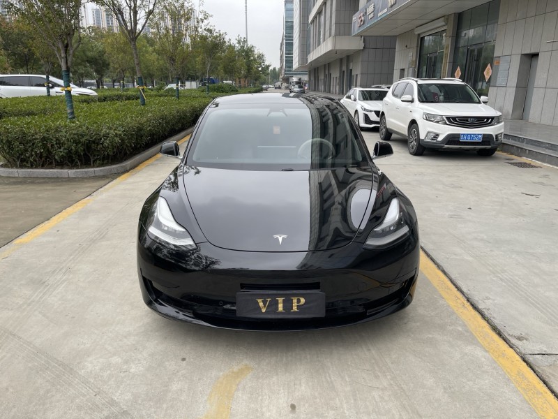 枣庄20年特斯拉MODEL 31