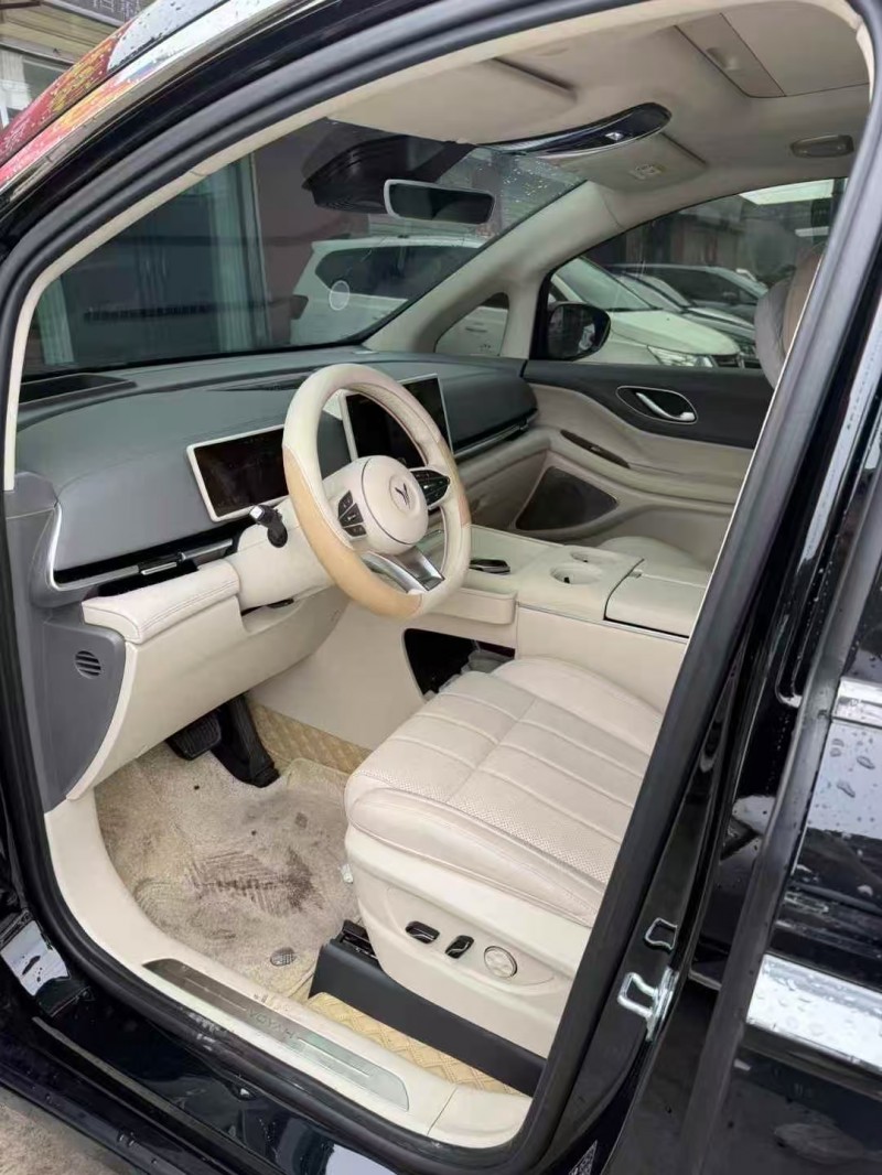 安阳25年岚图汽车梦想家4