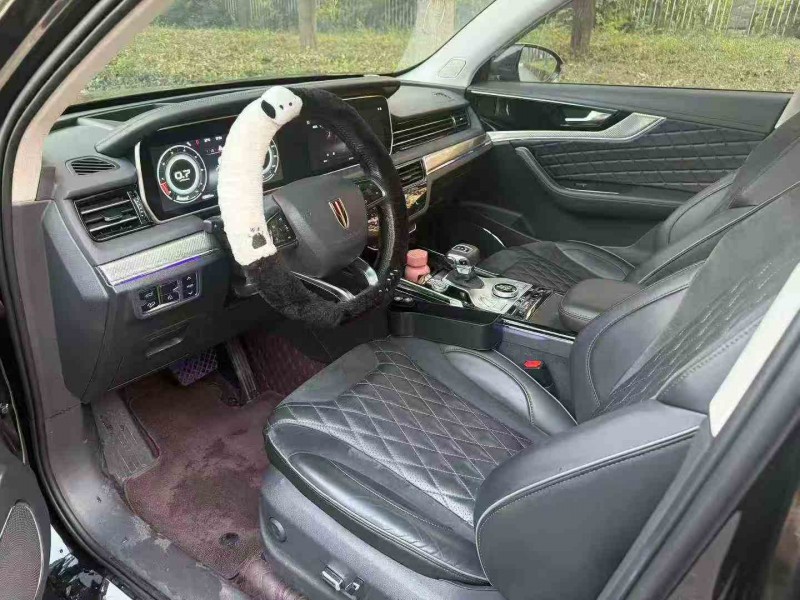 株洲20年红旗HS54