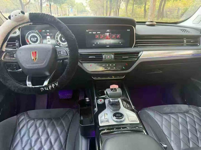 株洲20年红旗HS56