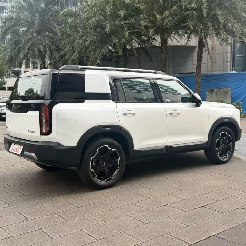 佛山24年北京BJ308