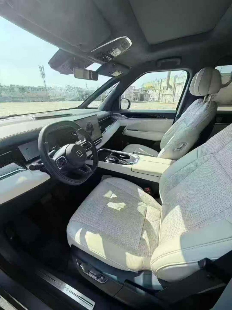 宁波24年极氪汽车0095