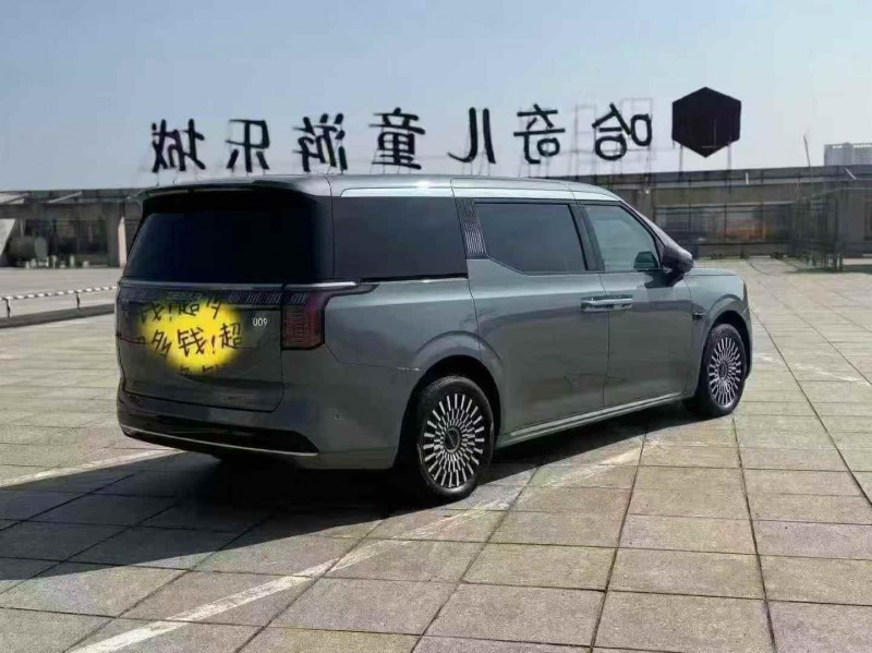 宁波24年极氪汽车0099