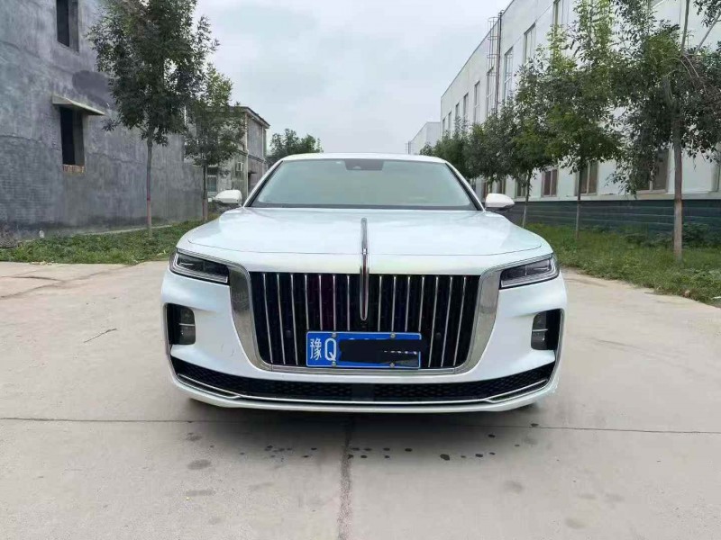 平顶山22年红旗H91