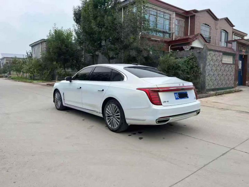 平顶山22年红旗H98