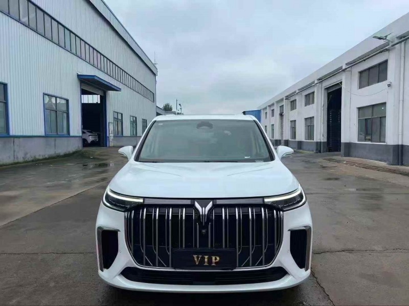 徐州25年岚图汽车梦想家1