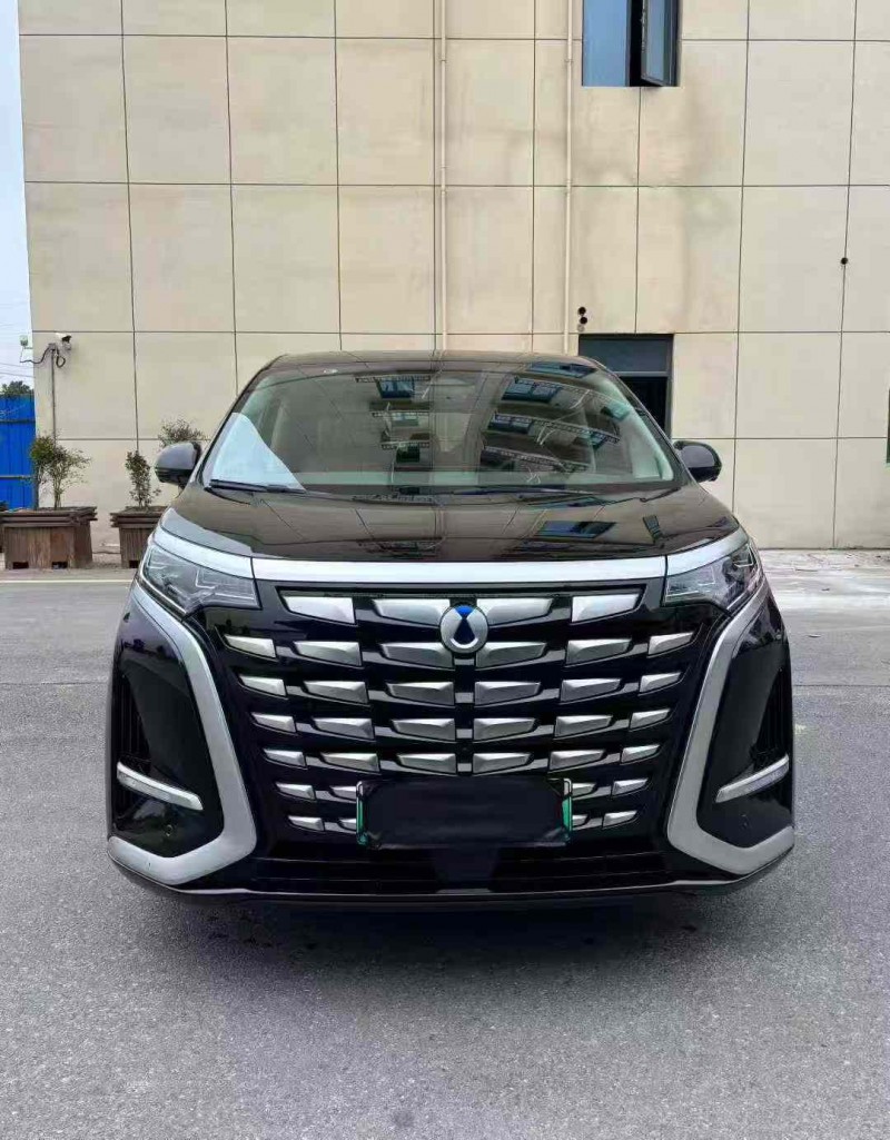 襄阳23年腾势D91