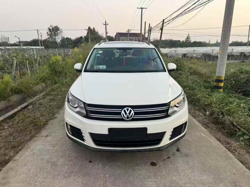 绍兴17年大众途观1