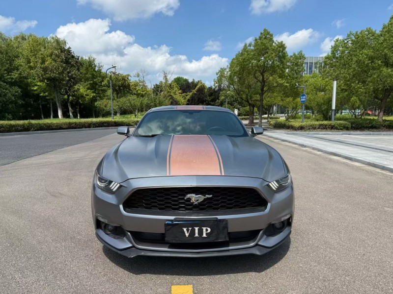 淮安17年福特野马1