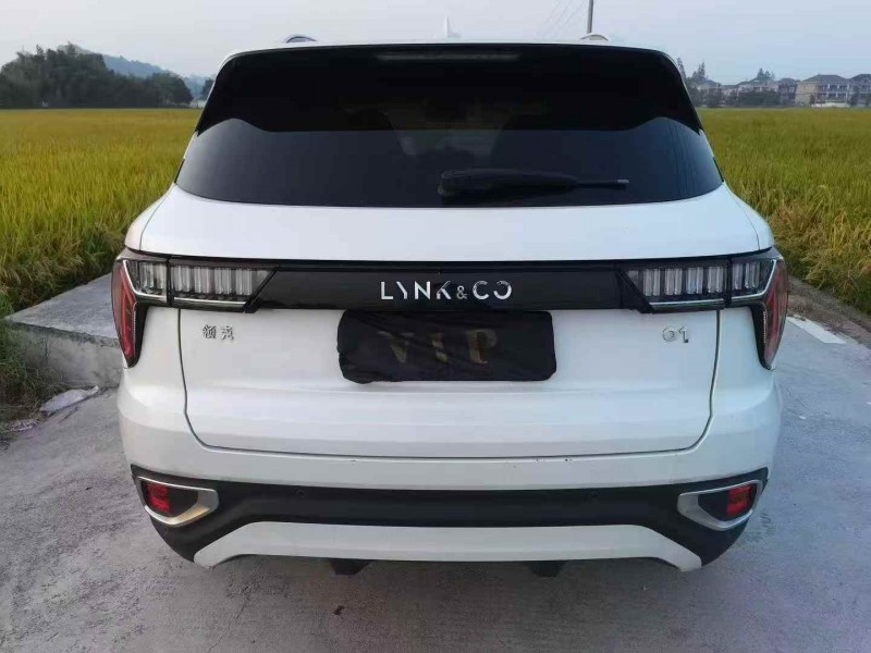 嘉兴22年领克019