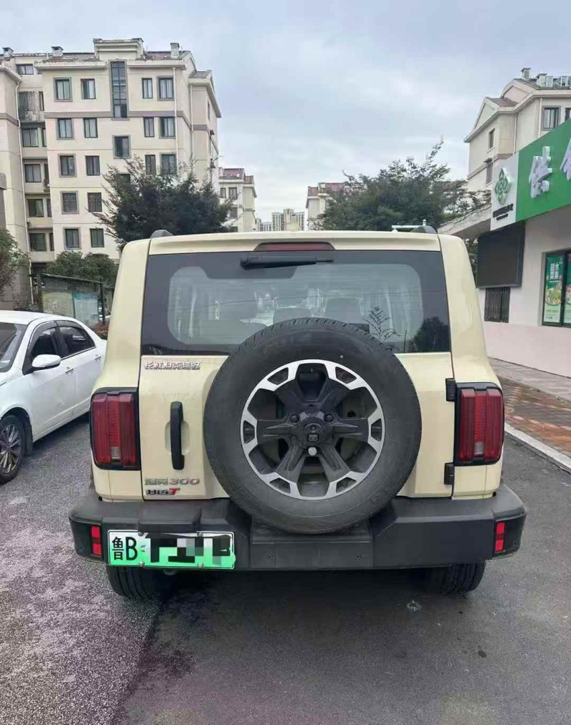 青岛25年长城汽车坦克9