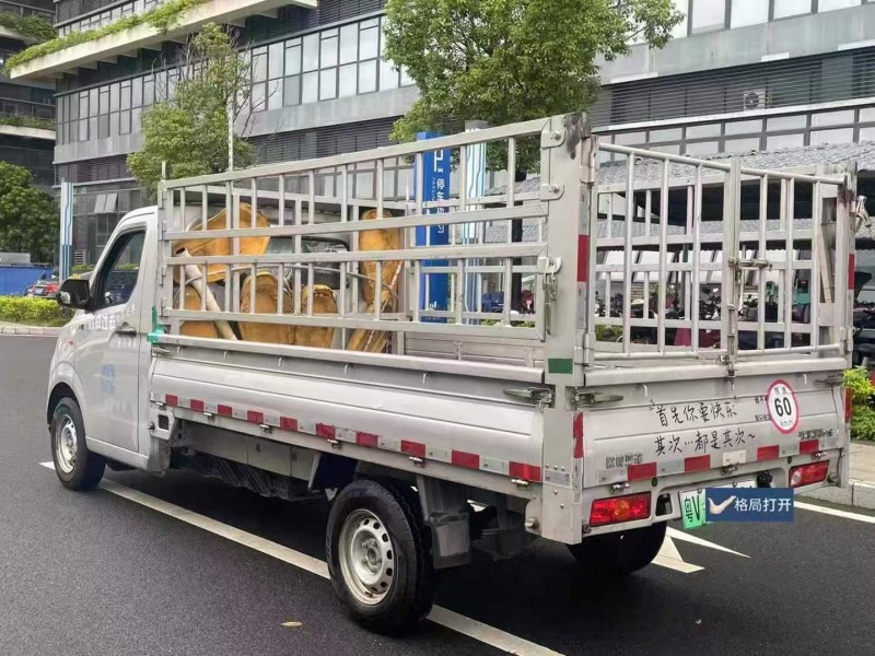 东莞24年吉利远程7