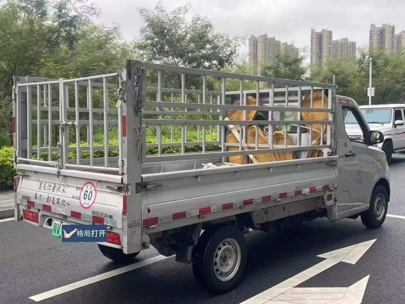 东莞24年吉利远程8