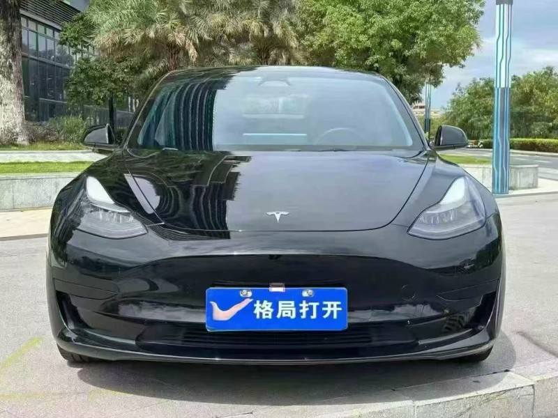 东莞22年特斯拉MODEL 31