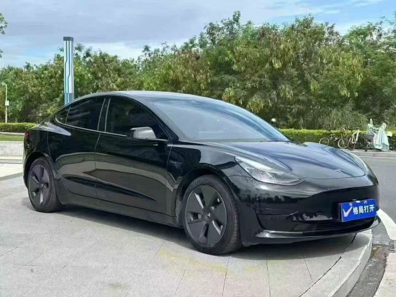 东莞22年特斯拉MODEL 33