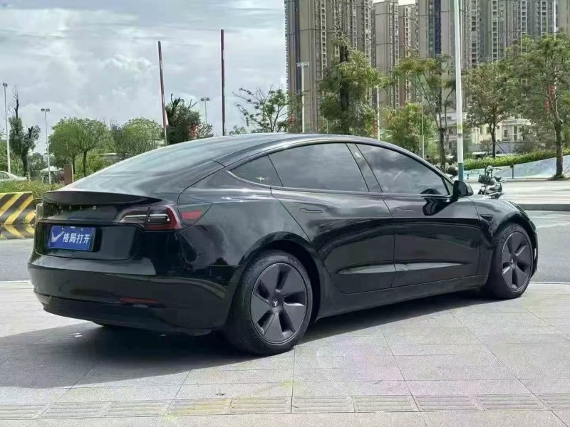 东莞22年特斯拉MODEL 38