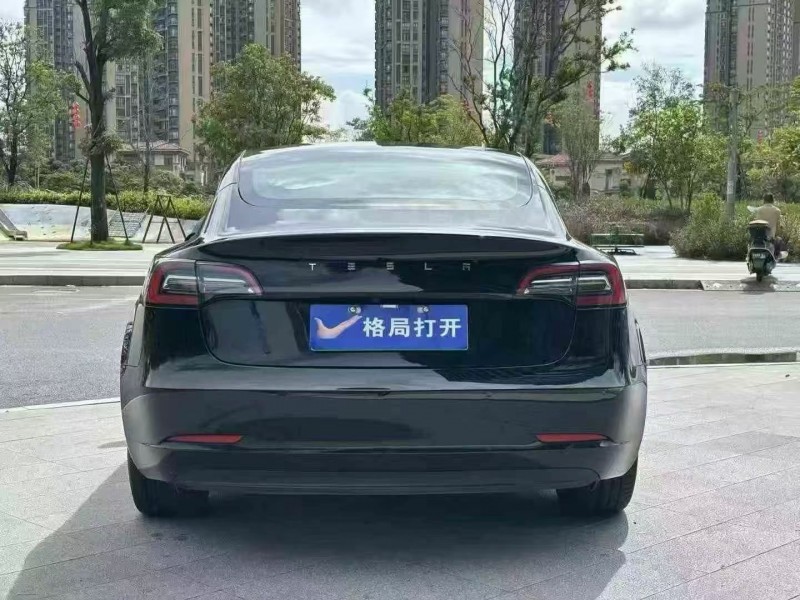 东莞22年特斯拉MODEL 39
