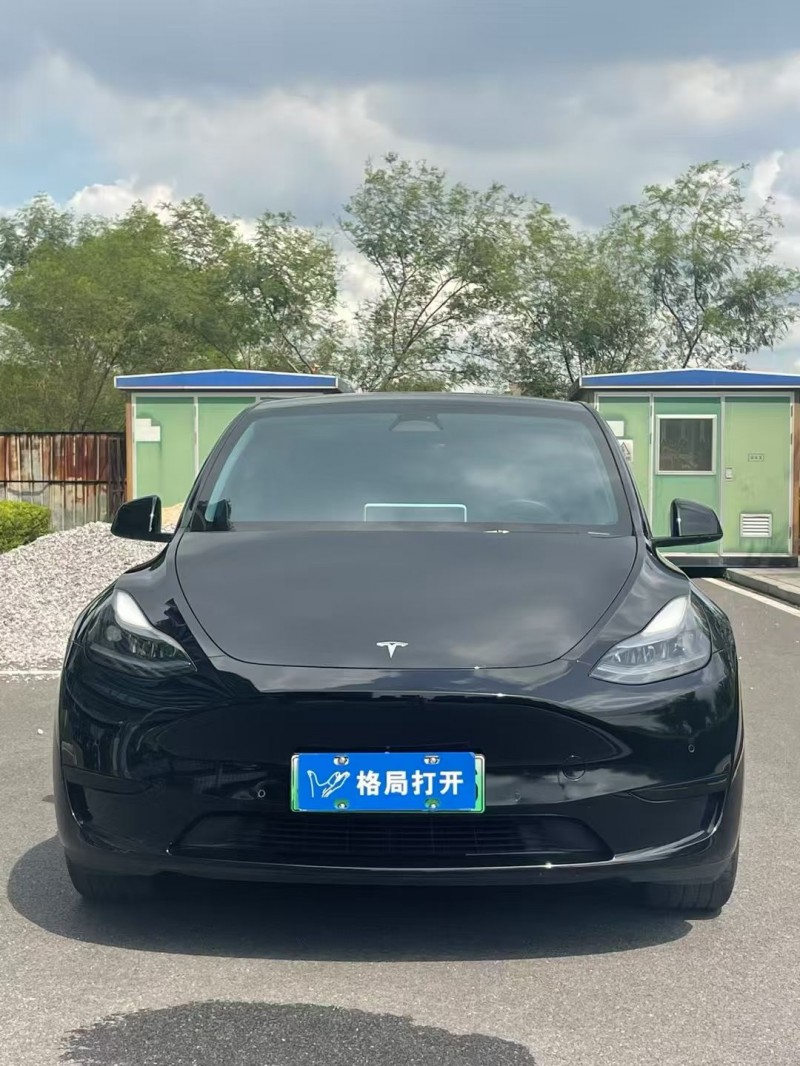 东莞23年特斯拉MODEL Y1