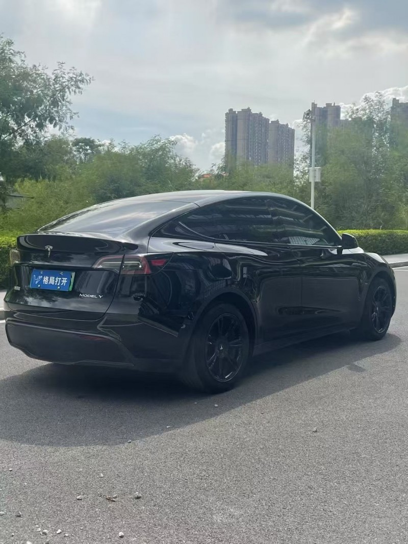 东莞23年特斯拉MODEL Y8