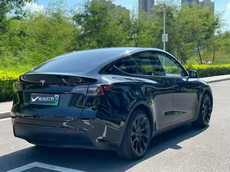东莞24年特斯拉MODEL Y8