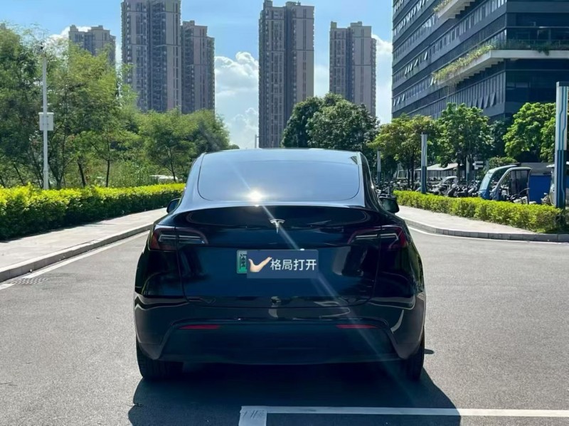 东莞24年特斯拉MODEL Y9