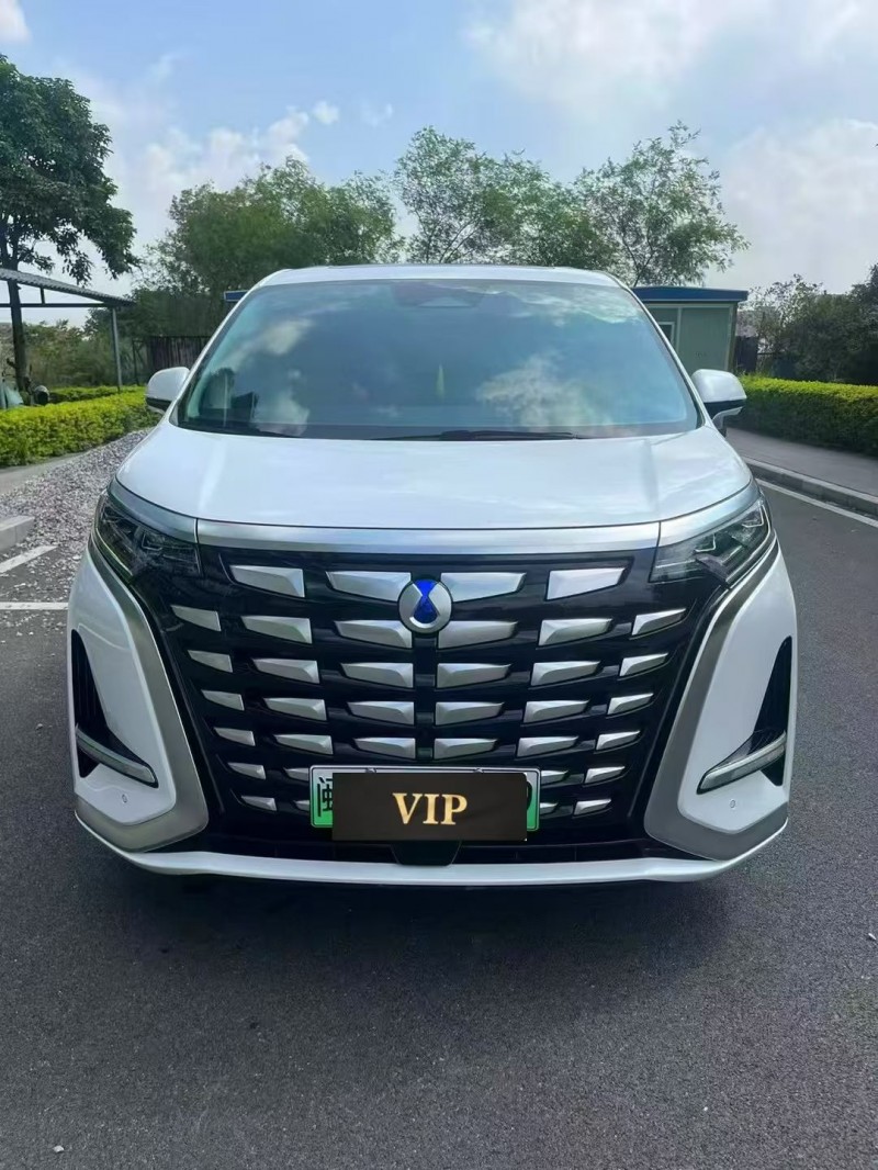 东莞24年腾势D91