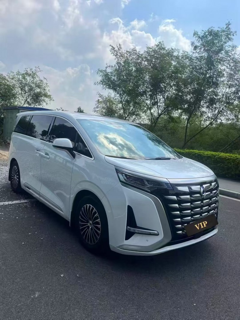 东莞24年腾势D92