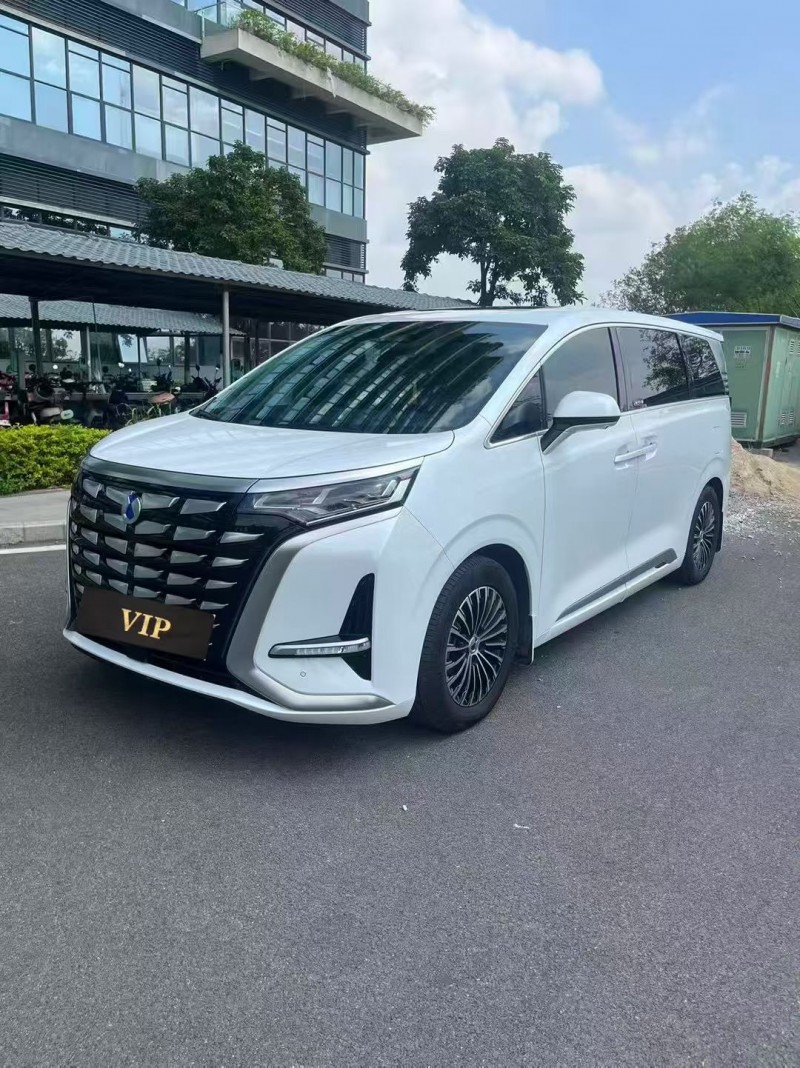 东莞24年腾势D93