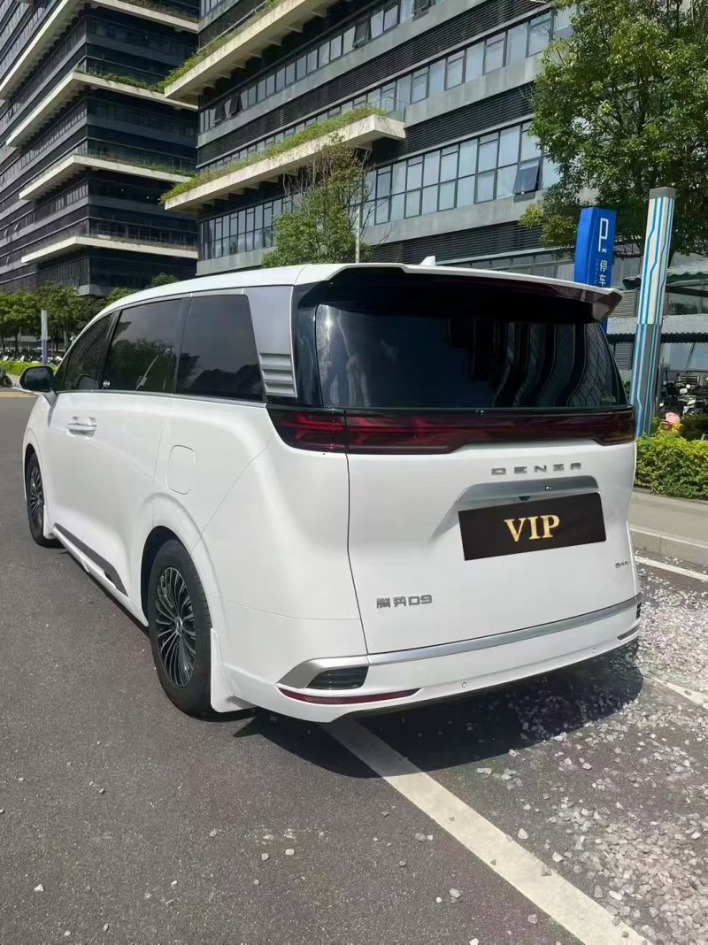 东莞24年腾势D98