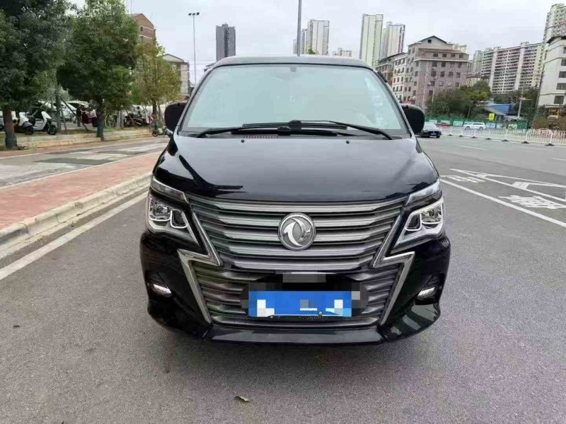 衡阳20年东风菱智1