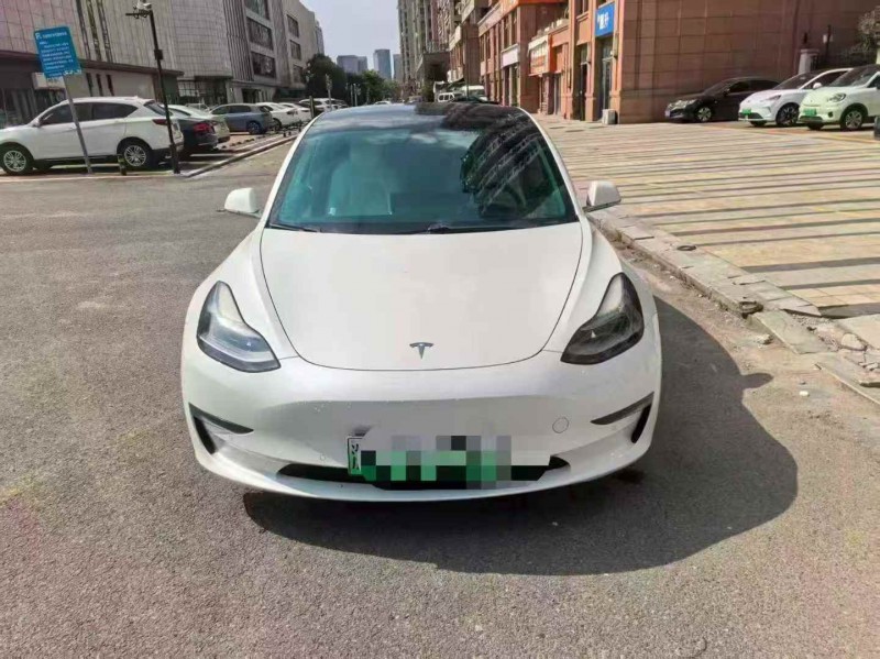 温州20年特斯拉MODEL 31