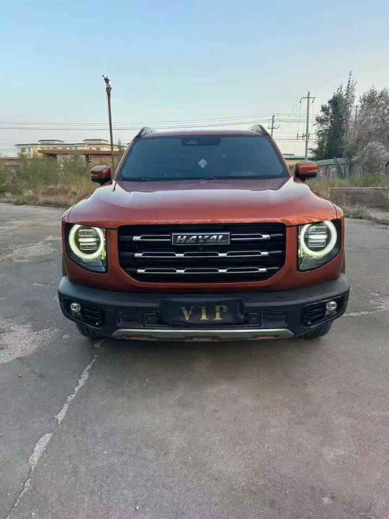 包头22年哈弗大狗1