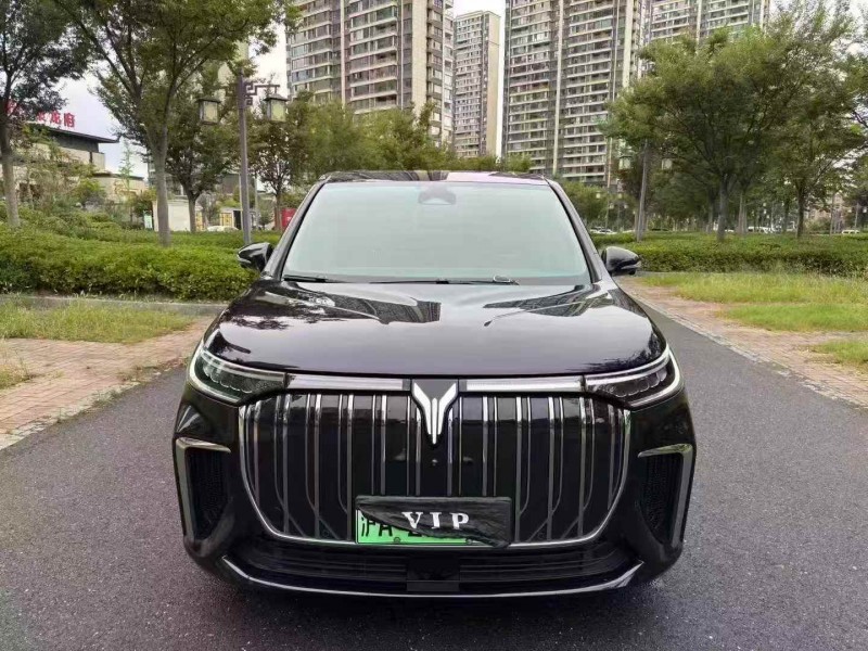 无锡24年岚图汽车梦想家1