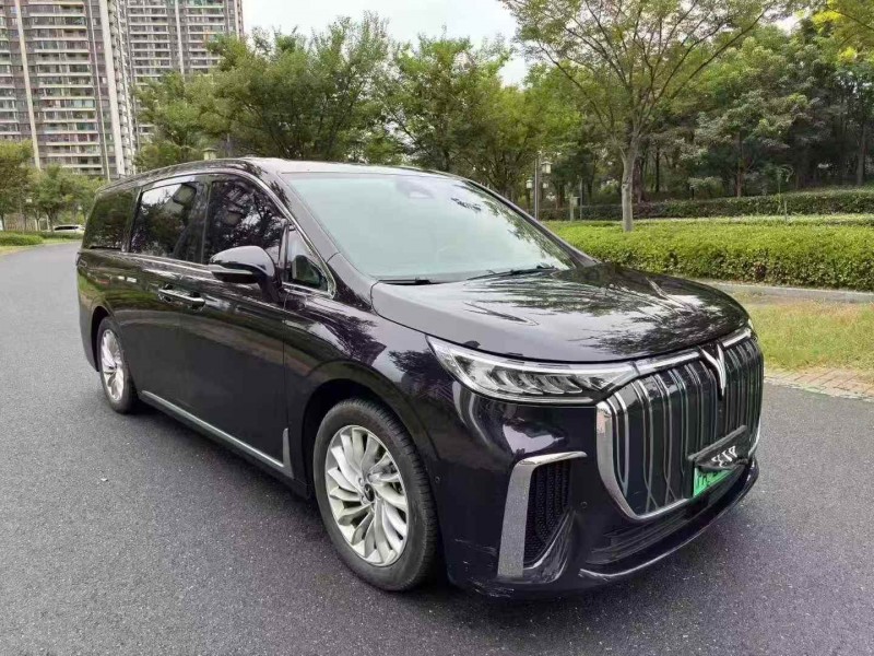 无锡24年岚图汽车梦想家2