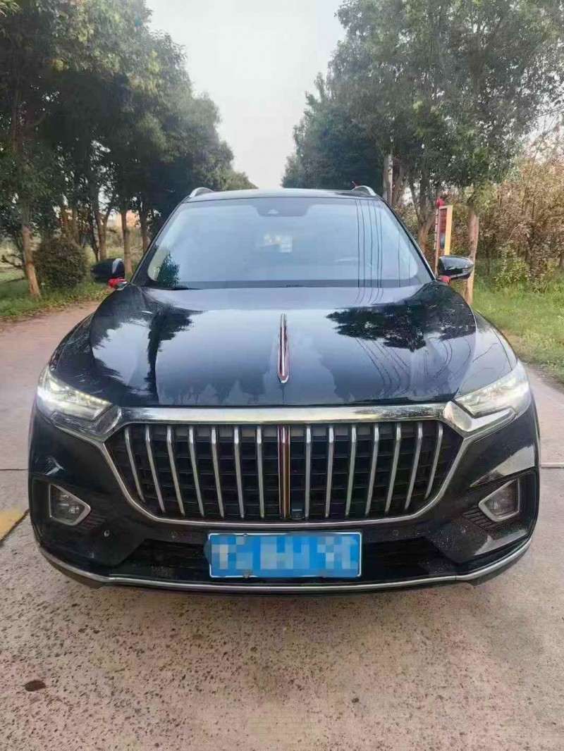 平顶山21年红旗HS51