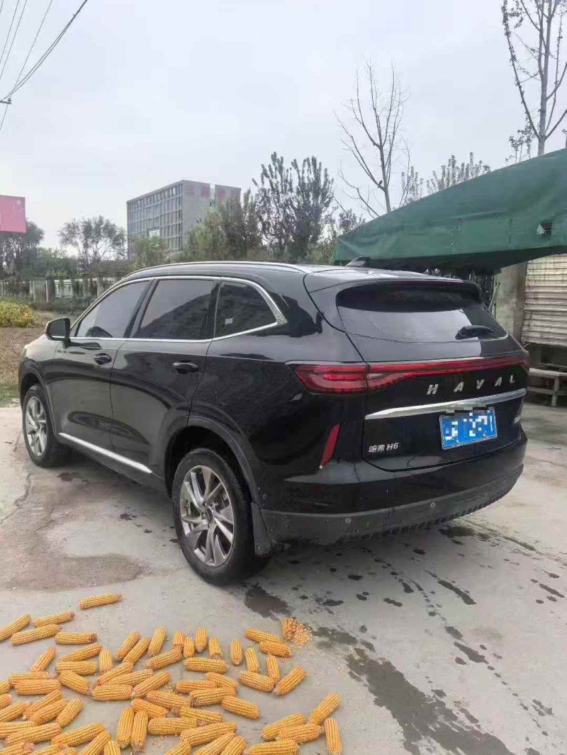 东营21年哈弗H68