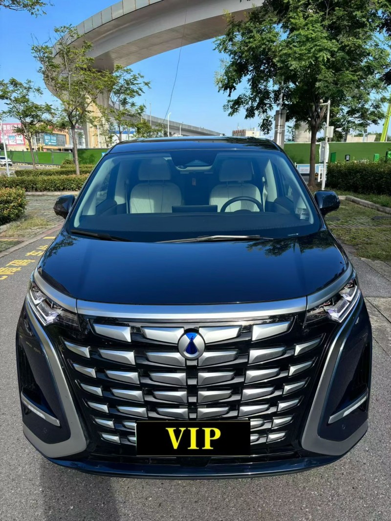 襄阳24年腾势D91