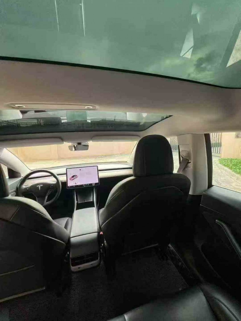衡阳20年特斯拉MODEL 33