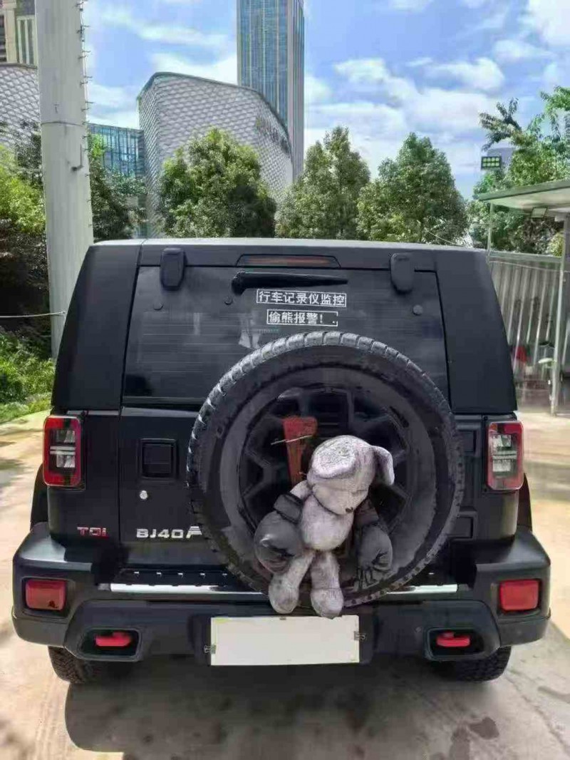 临沧23年北京BJ407