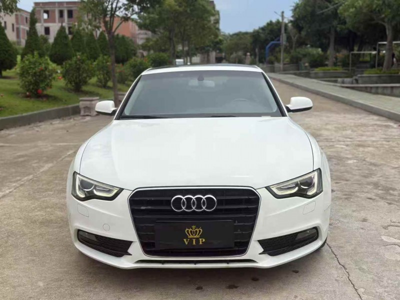 揭阳16年奥迪A51