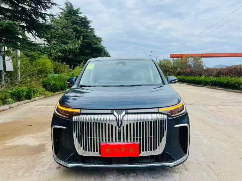 济宁25年岚图汽车梦想家1