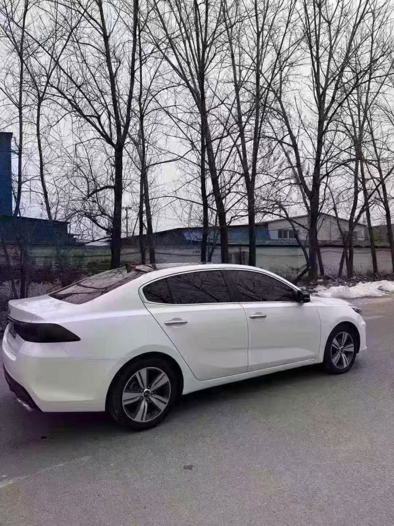 菏泽18年起亚凯绅8