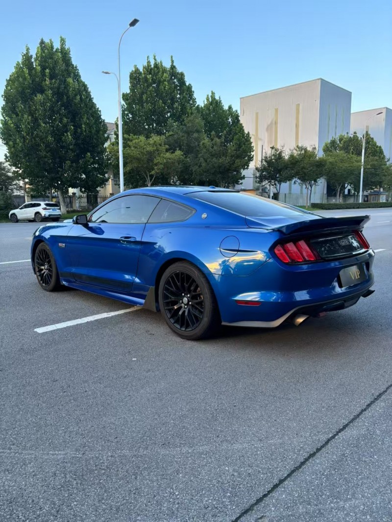 宿迁20年福特野马7