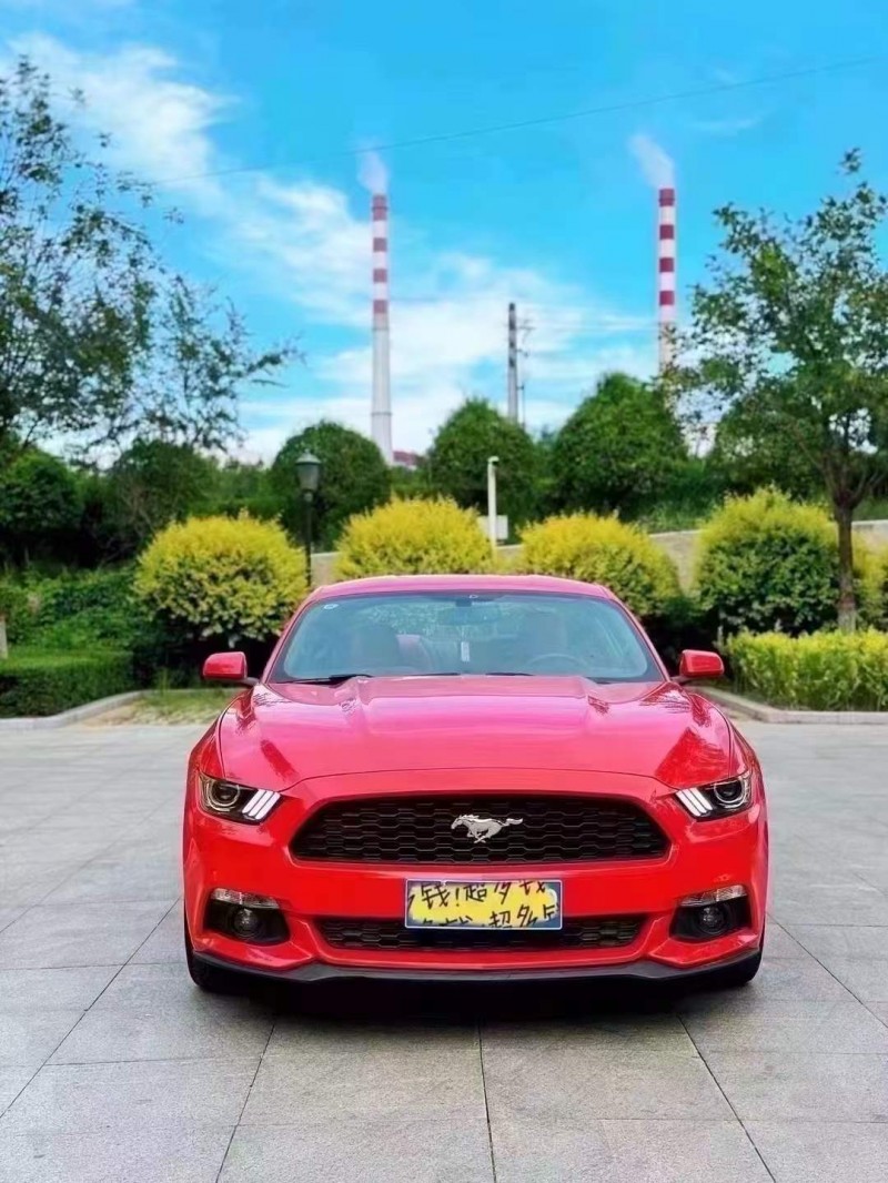 忻州19年福特野马1