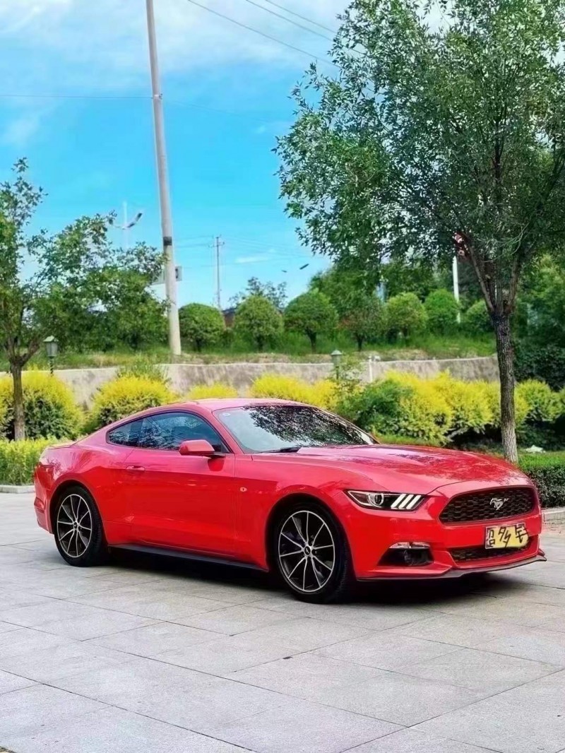 忻州19年福特野马2