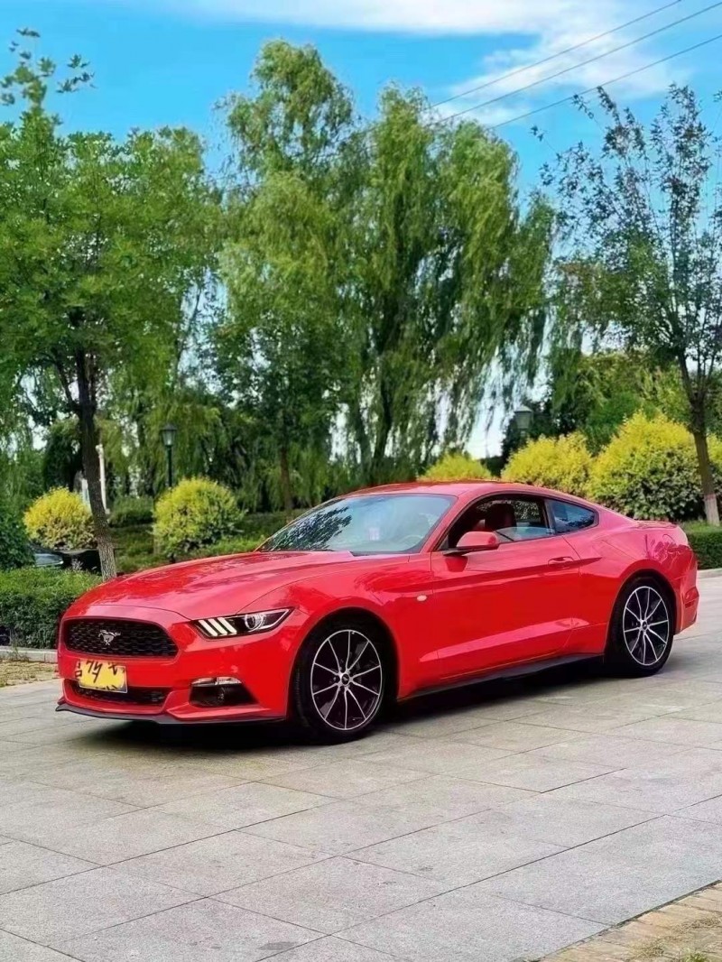 忻州19年福特野马3