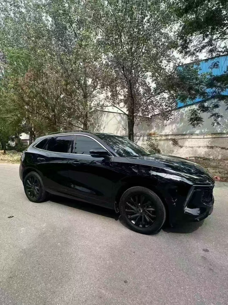 菏泽22年东风风行2